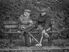 Two Men, Bench And Cane