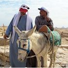 Two men with one donkey