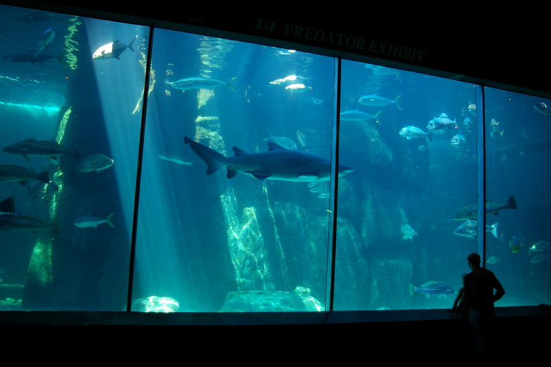 Two Oceans Aquarium