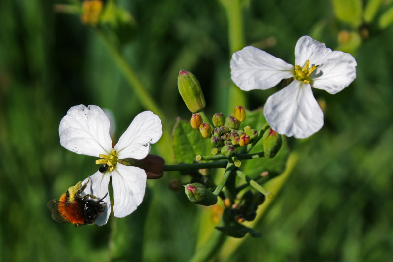 >> two on a blume 