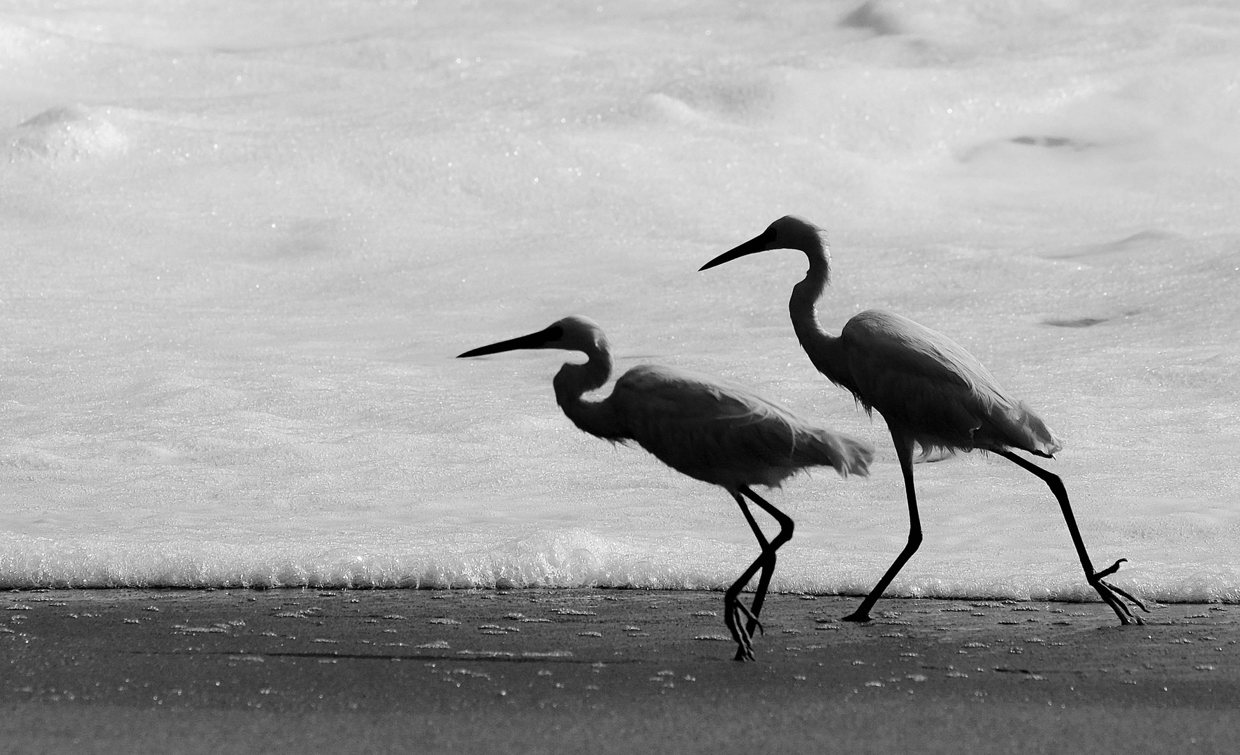 Two on the beach 