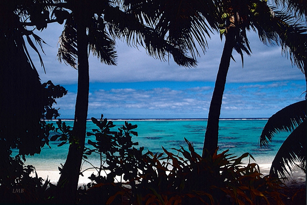 Two Palm Trees in the vast Sea