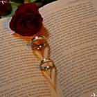 Two Rings, two hearts and a rose...