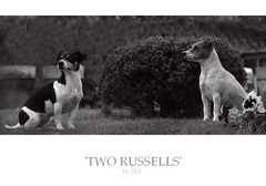 ' TWO RUSSELLS'