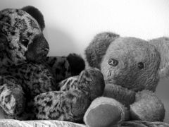 two teddies