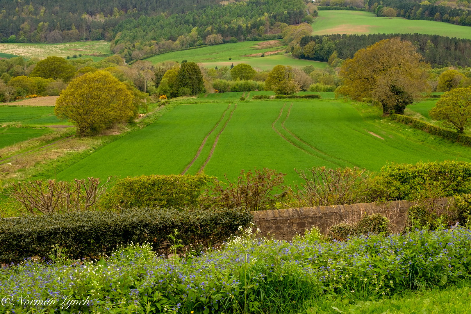  Two tractor tracks