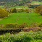  Two tractor tracks