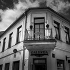 Two Vacancies in the Gallery