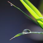 two Waterdrops