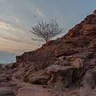 Twyfelfontein 03