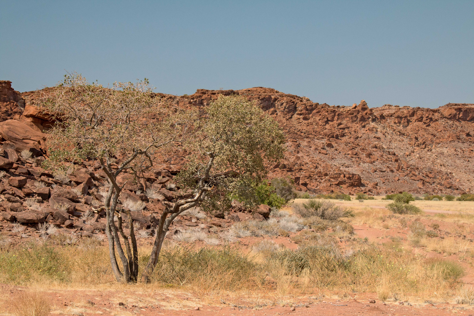 Twyfelfontein