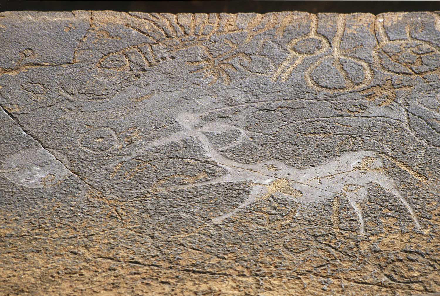 Twyfelfontein, Petroglyphen