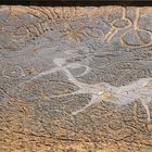 Twyfelfontein, Petroglyphen