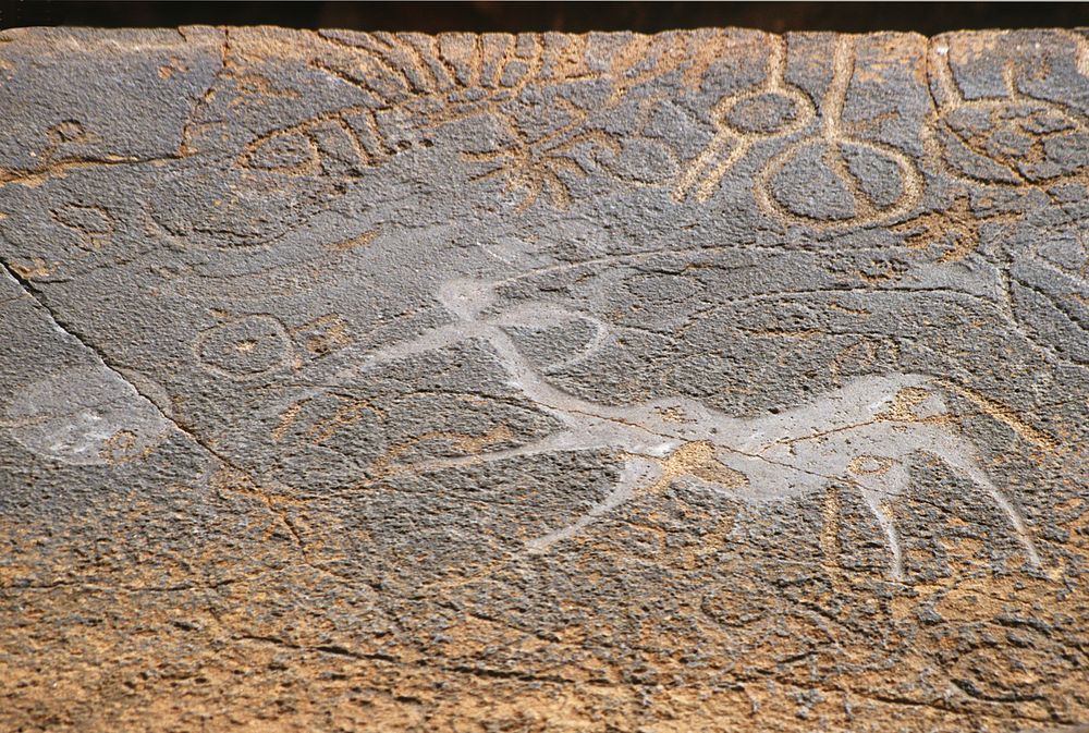 Twyfelfontein, Petroglyphen