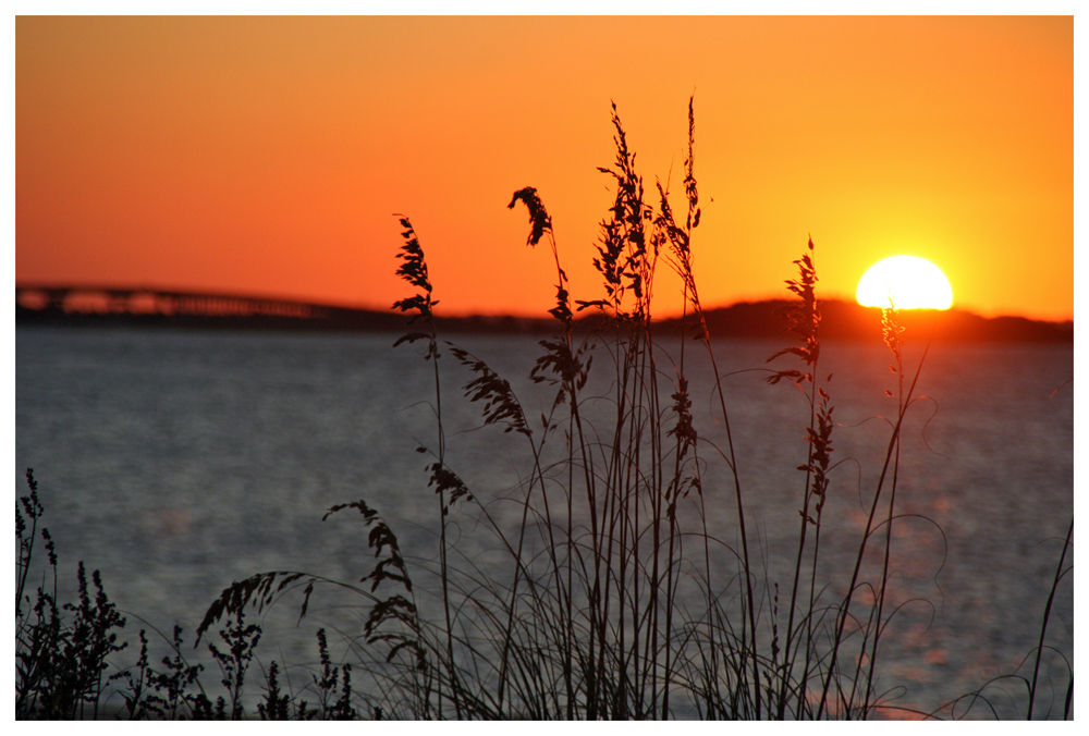 Tybee Island Sundowner