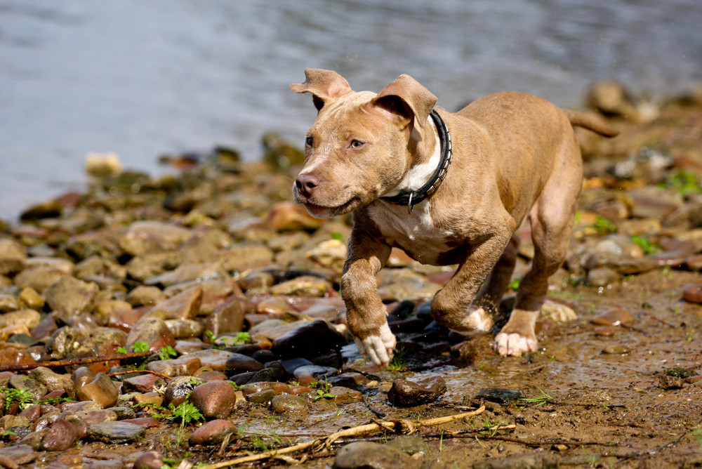 Tyla an der Weser