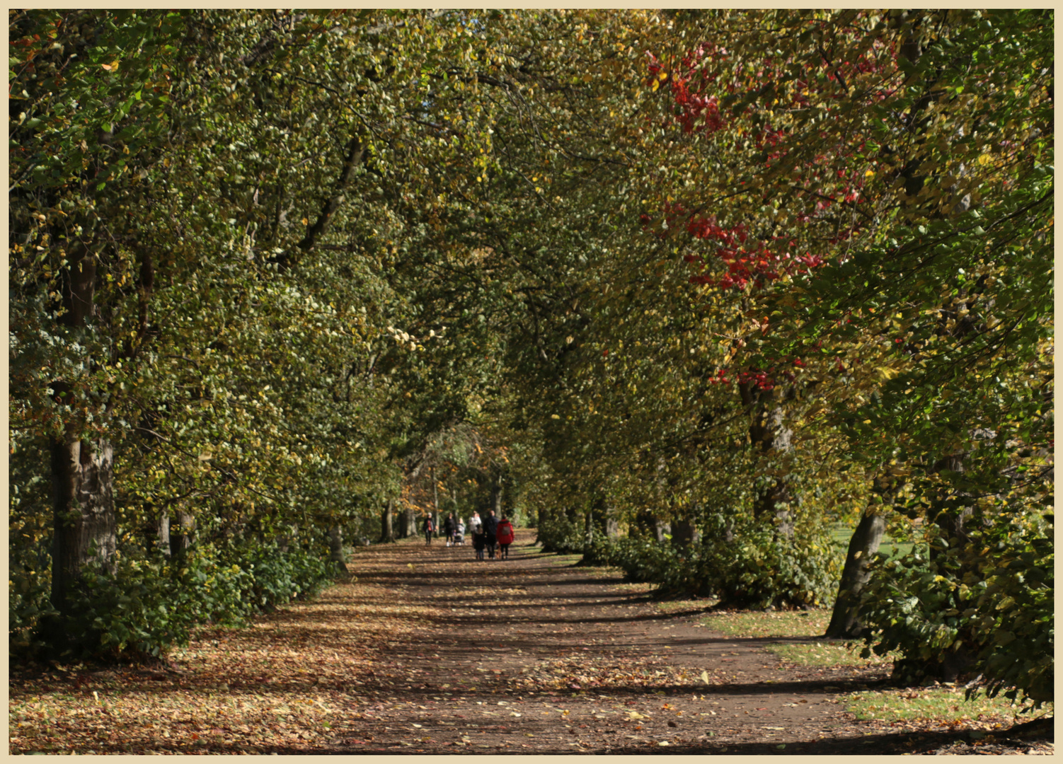 tyne green park hexham 10