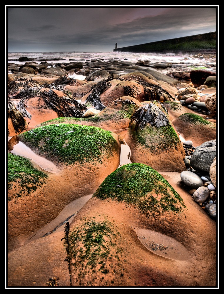 Tynemouth Rocks