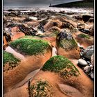 Tynemouth Rocks