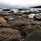 tynemouth rocks