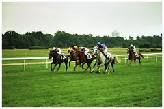 "Typhoon" auf dem Weg zum Sieg im Vollblut-Araber-Derby anno 2005 in Köln