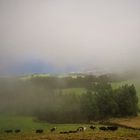 Typical Azores weather