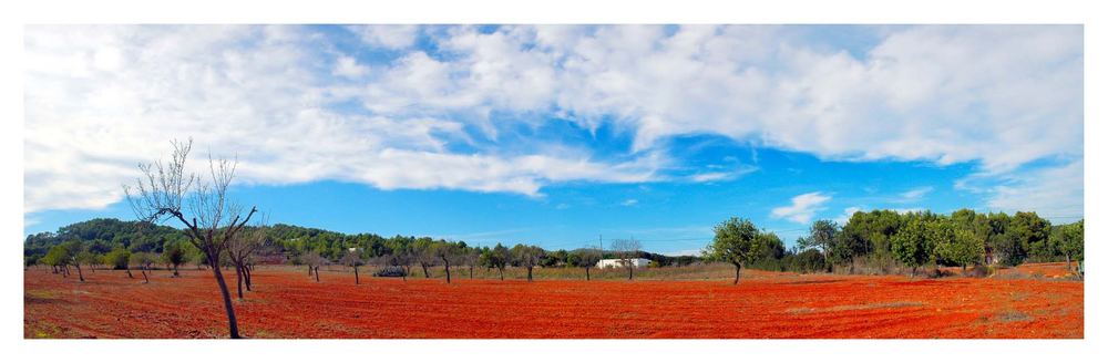 Typical Eivissa Landscape - between Santa Gertrudis and Sant Mateu d'Aubarca