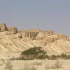 Typical Small Desert Wadi in the Arava