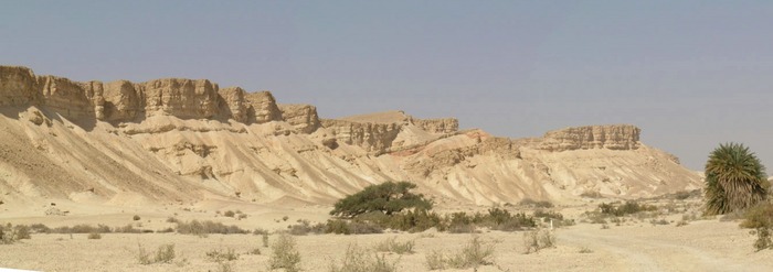 Typical Small Desert Wadi in the Arava