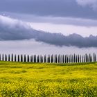 typical Tuscany Landscape