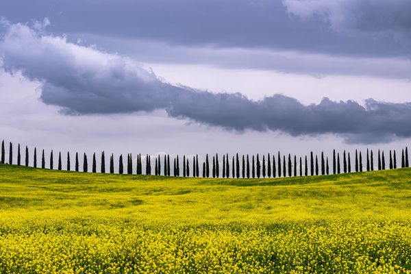 typical Tuscany Landscape