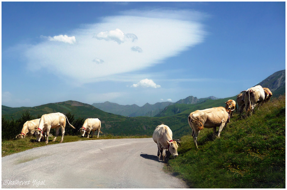 Typical vista at the Pyrenees