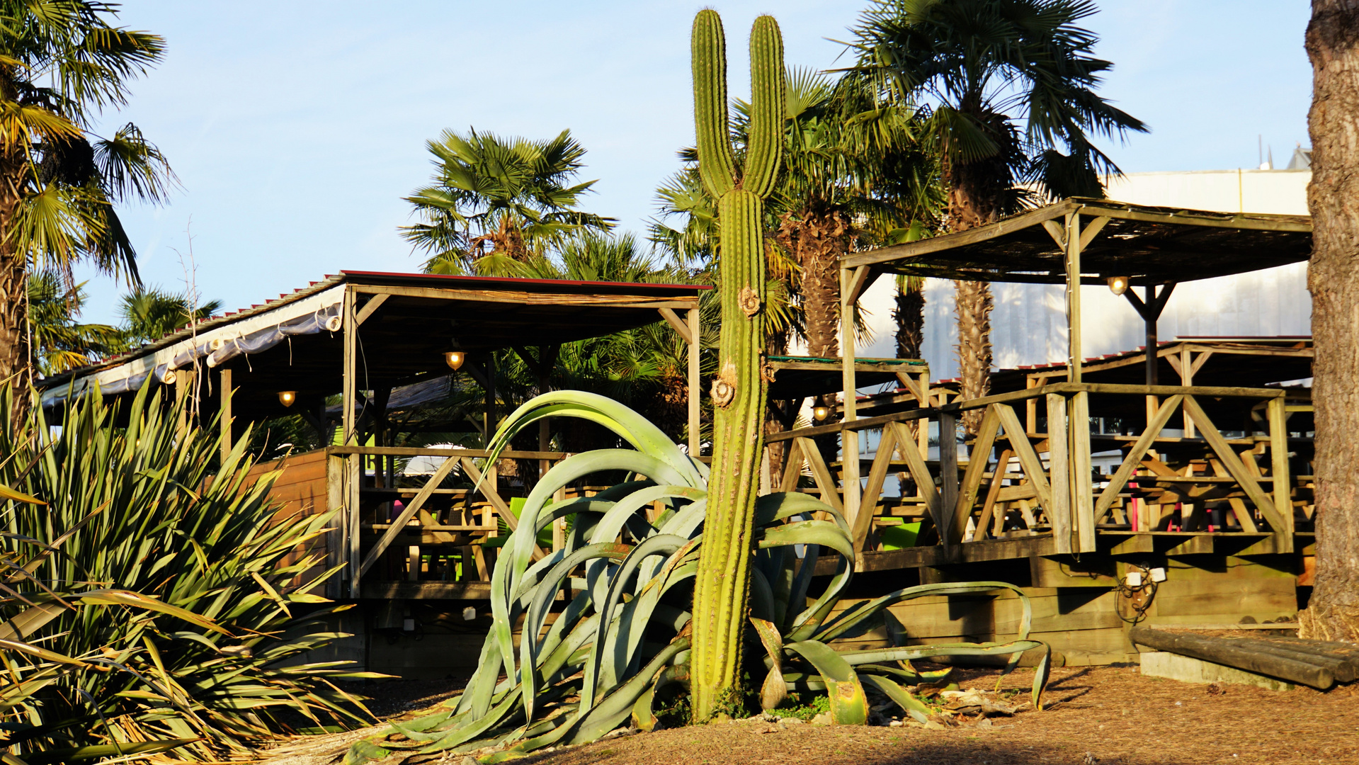 Typiquement landais..... photo et image nature, jardins, landes Images