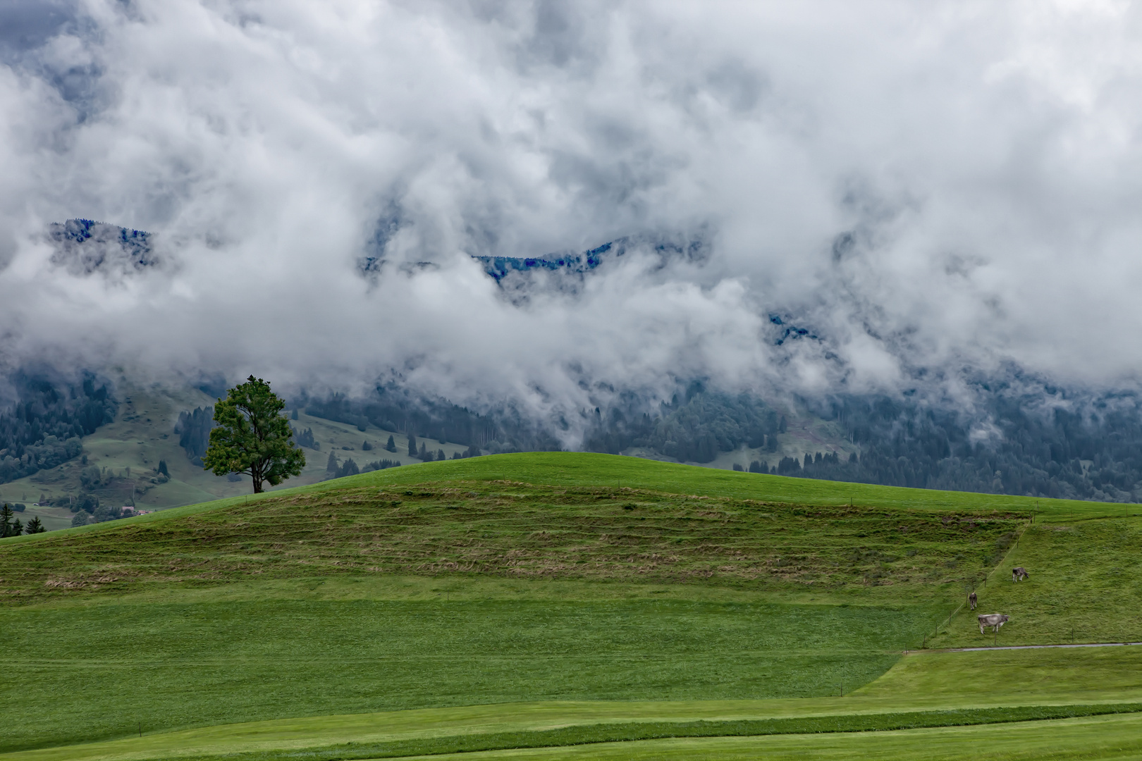 Typisch Allgäu