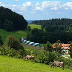 Typisch Allgäu