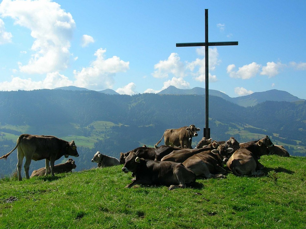 Typisch Allgäu