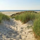 Typisch Amrum