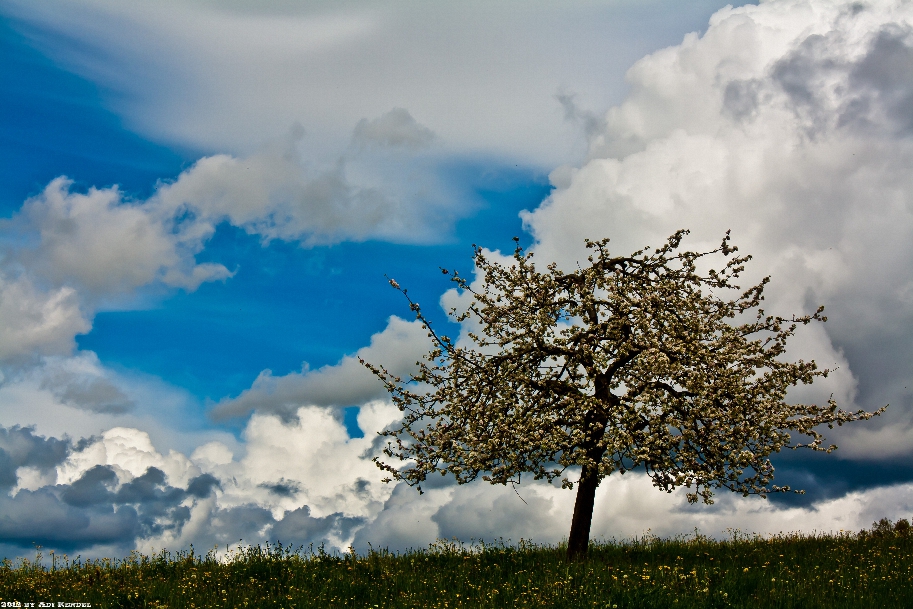 Typisch April-Wetter