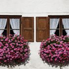 Typisch bayrische Fensterblütenpracht