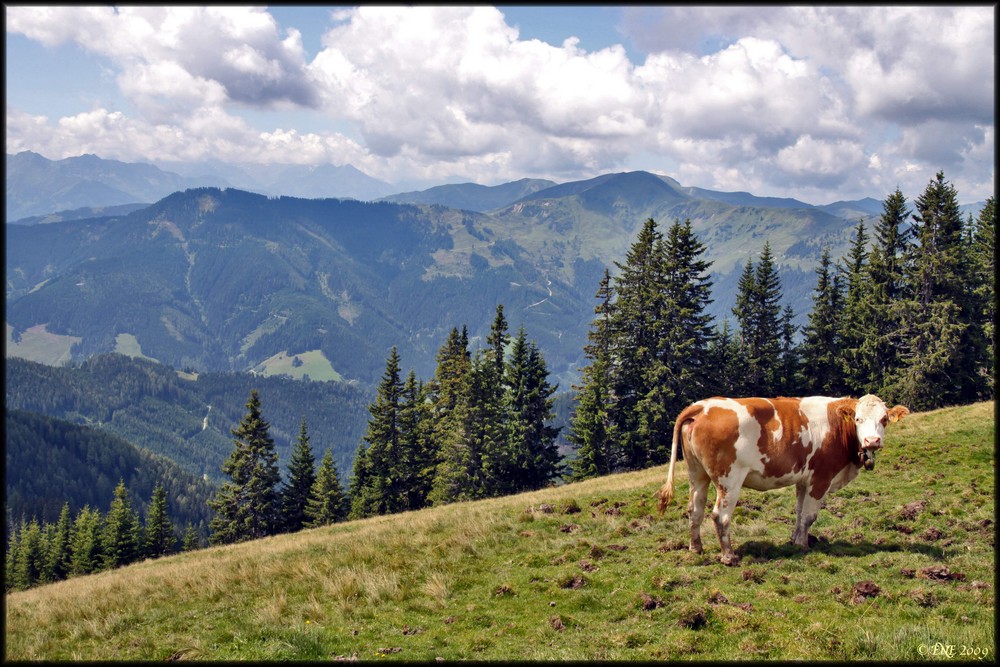 "typisch" Berglandschaft