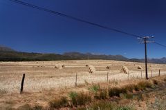 Typisch dreieckige Strohhaufen in Citrusdal Südafrika