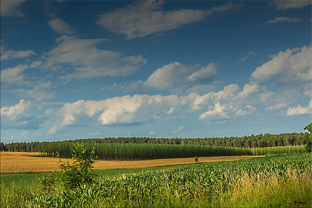 Typisch fränkische Landschaft