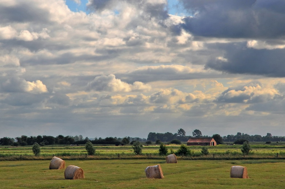 Typisch friesische Landschaft bei Ostiem