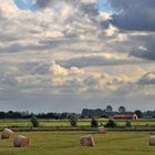 Typisch friesische Landschaft bei Ostiem