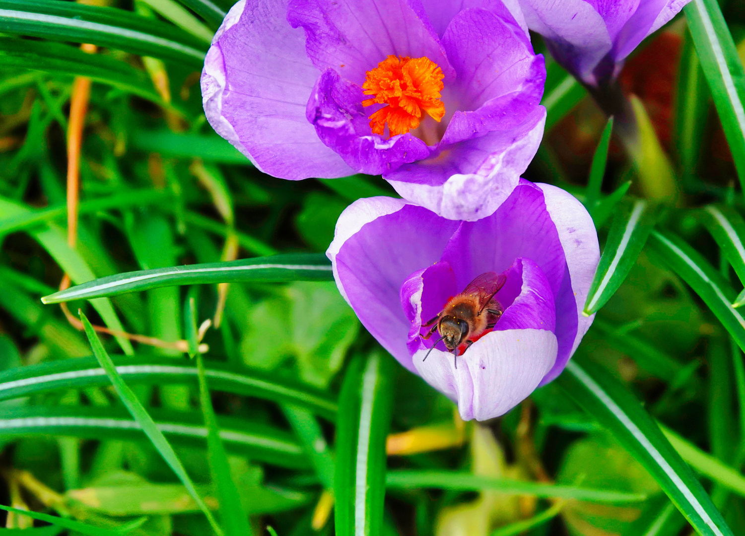 Typisch Frühling 