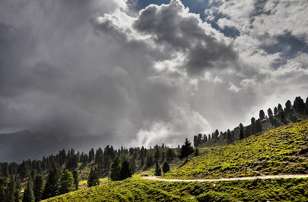 typisch für den Sommer 2010 - Seigesalm / Fotschertal