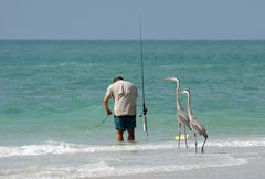 Typisch für Florida