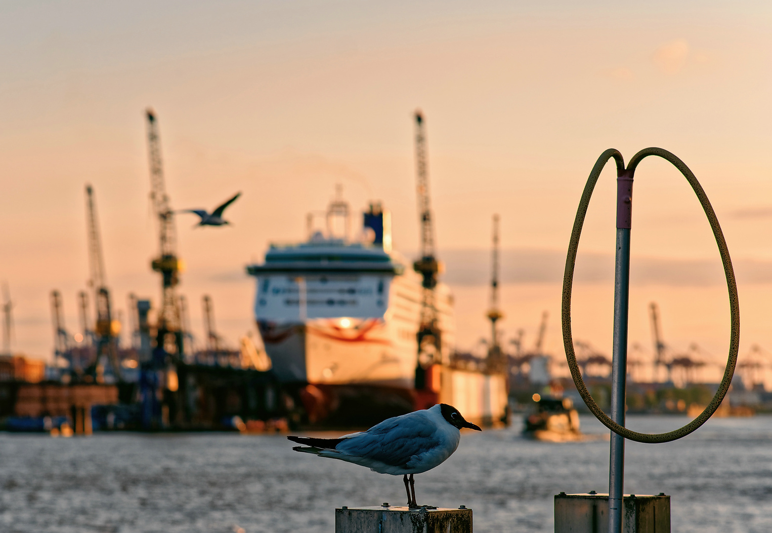 Typisch Hafen Hamburg