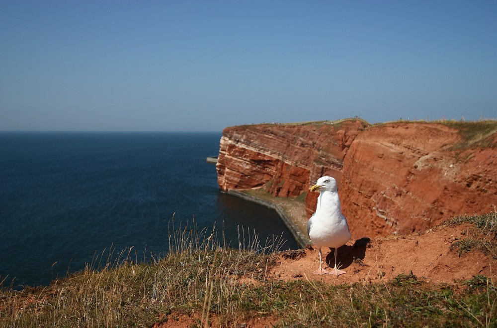 typisch Helgoland...