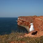 typisch Helgoland...